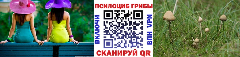 Галлюциногенные грибы мухоморы Плавск