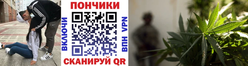 Шишки марихуана Bruce Banner  OMG рабочий сайт  Плавск 